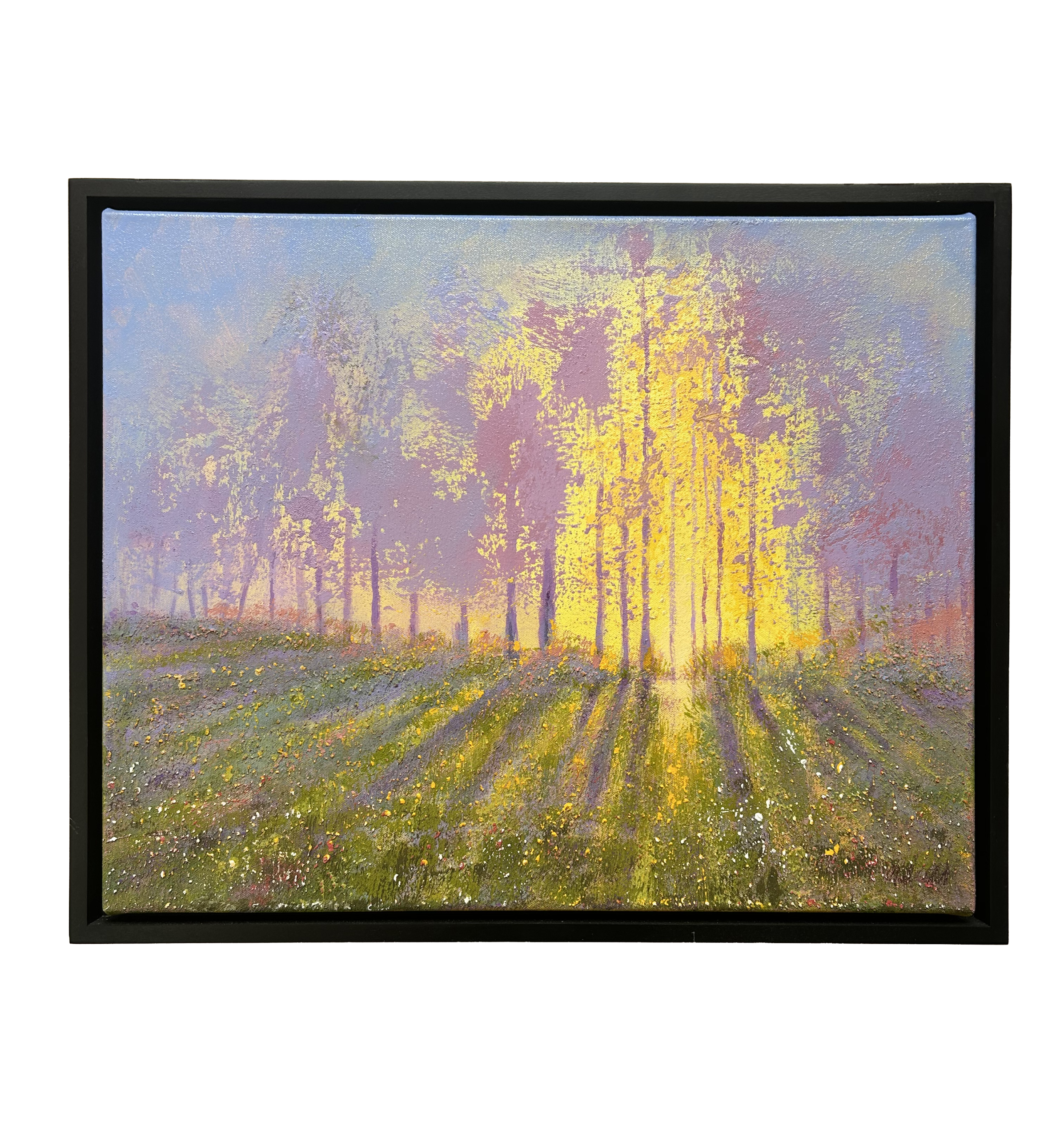 Misty Dawn (framed) - 16x20 - 20% Off - Limited Time Offer